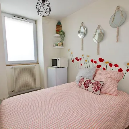 Le Mini-Nid Apartment Rives (Isere)