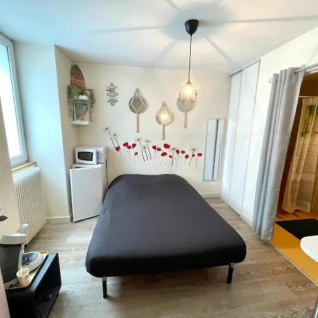 Le Mini-Nid Apartment Rives (Isere)